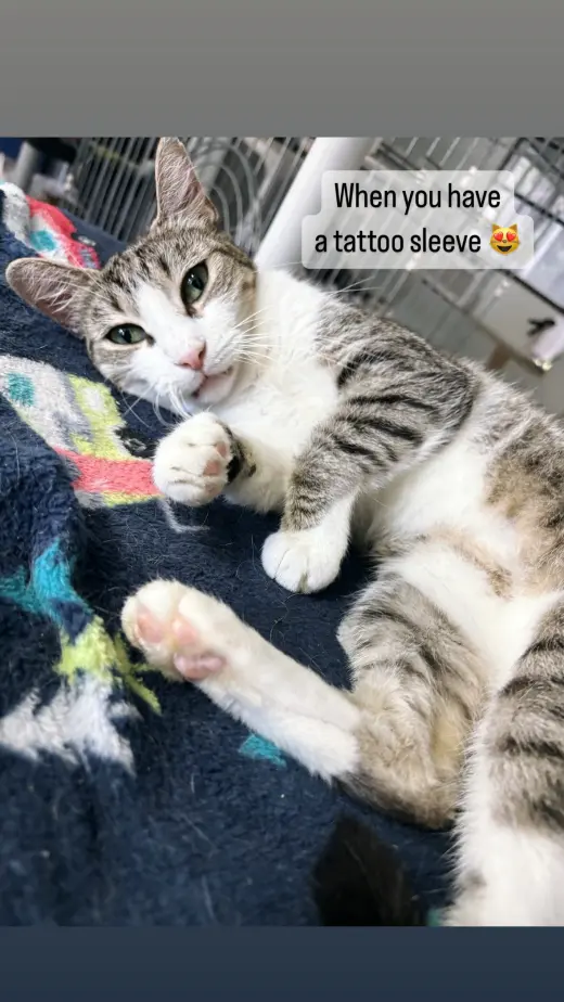 Belinda
