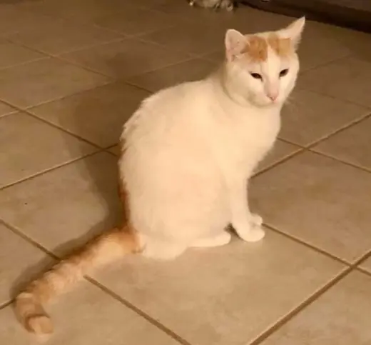 Casper MS