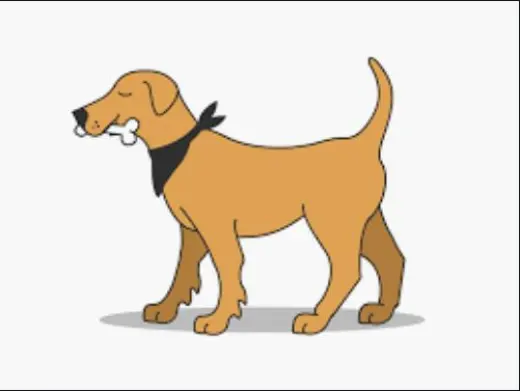 Any Large Breed Dog