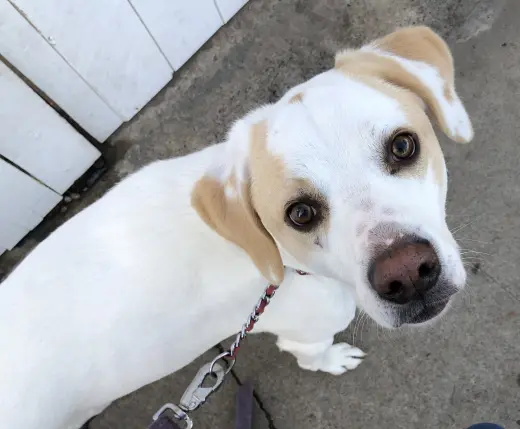 Ben