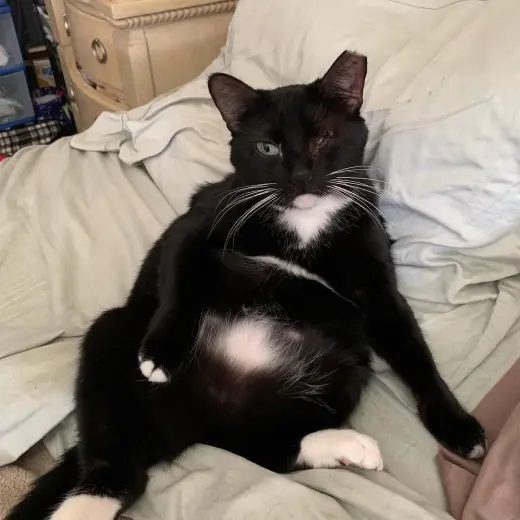Minnie