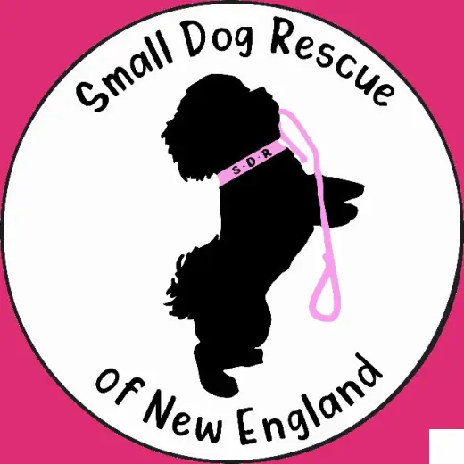 FOSTERS NEEDED!