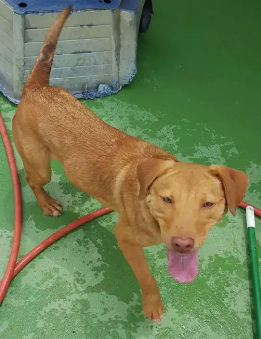 Charlie