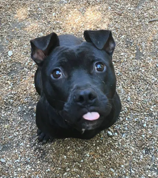 Jax