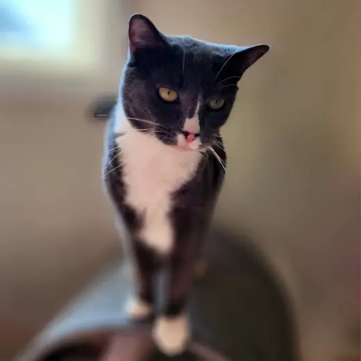 Rita