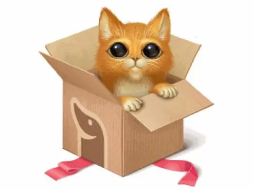 Any Kitten