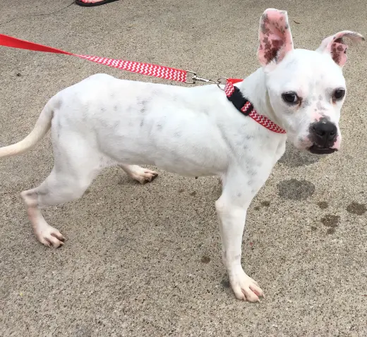 Marlee (Forever Foster)