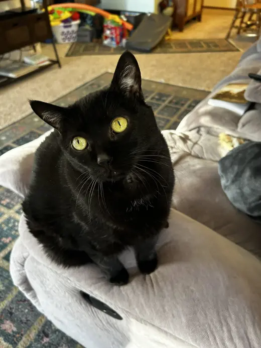 Rosie