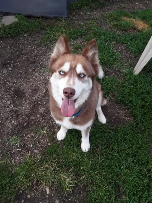 Kita