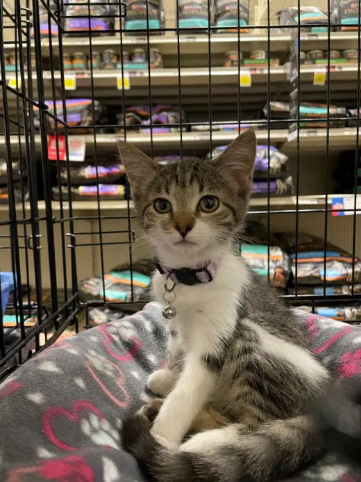Velma *IN FOSTER*