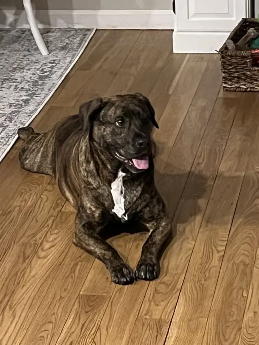 Auggie **a courtesy post**