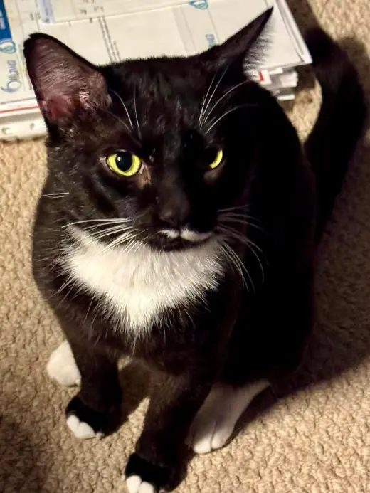 Tux
