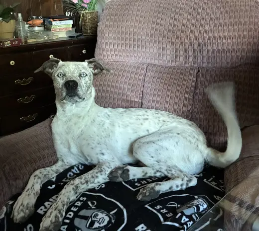 King Bumi