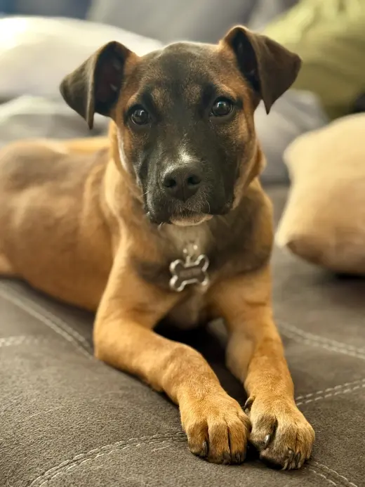 River Roo