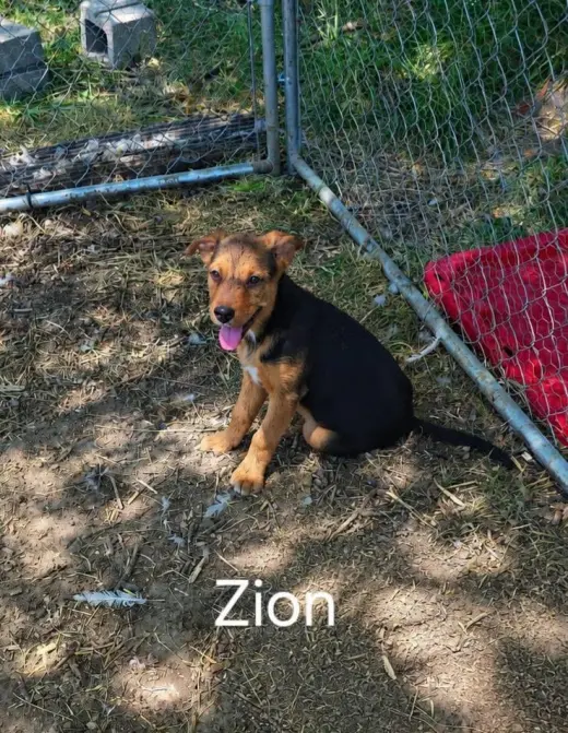 Zion