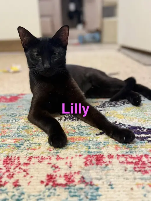 Lillian