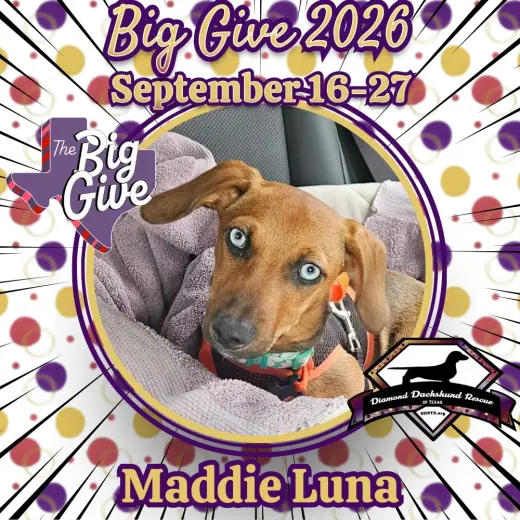 Maddie Luna