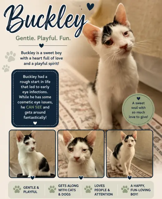 Buckley
