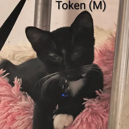 Token