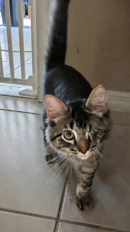 Zeus