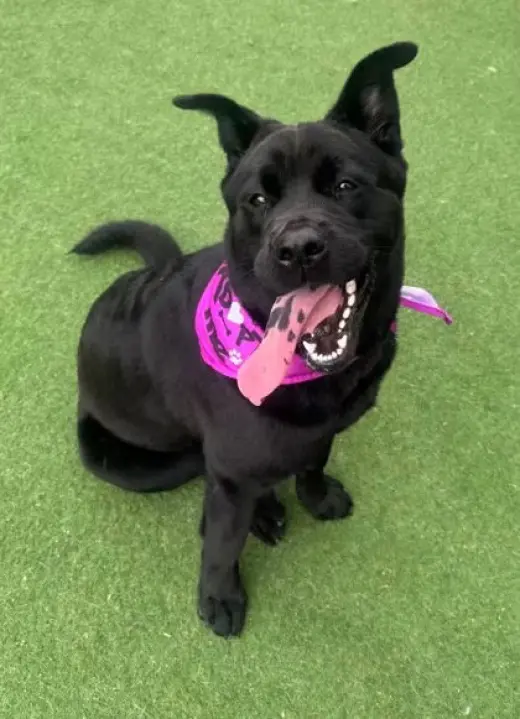 Osita