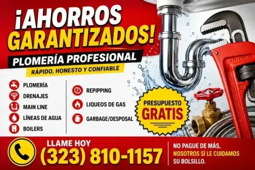 🔧 ¡NO PAGUE DE MÁS!