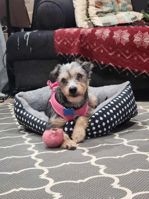 Winnie (formally Lunita)