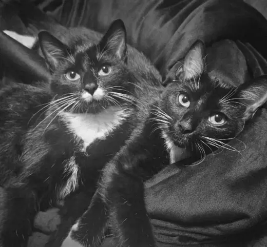 Betty and Boop (stach)