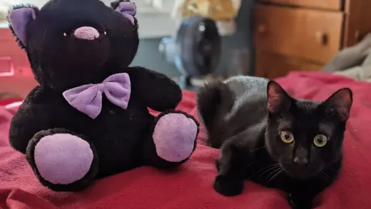 onyx