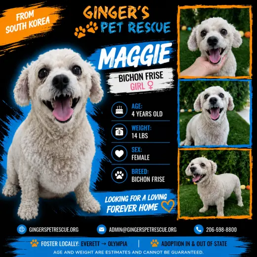 Maggie from Korea
