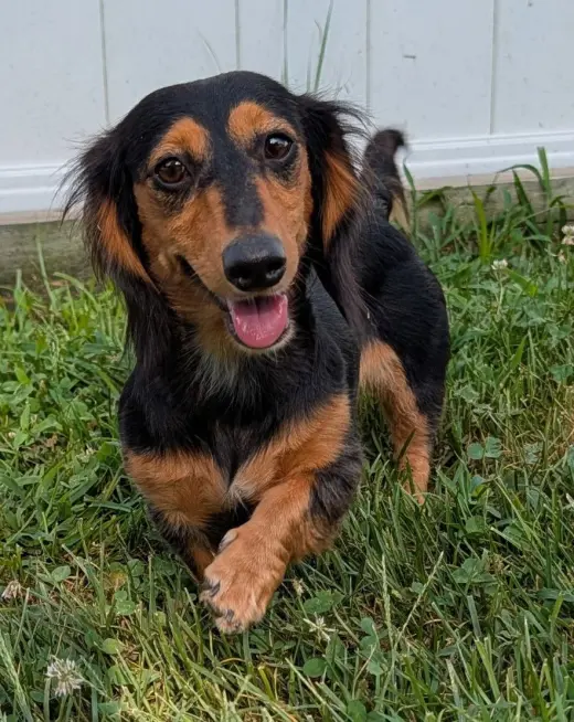 Jolene in NC