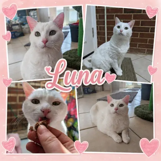 LUNA