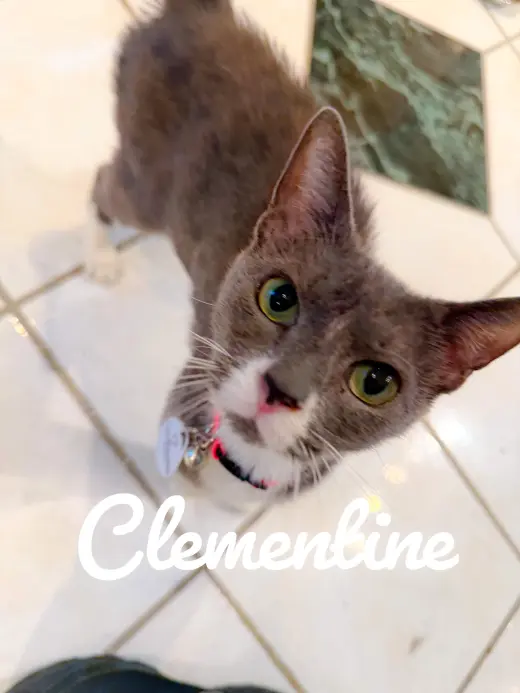 Clementine