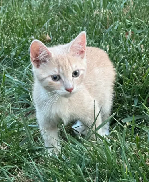 Daniel-Not at Shelter/Sponsored