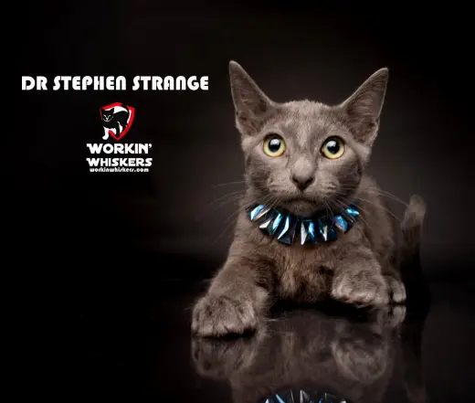 DR STEPHEN STRANGE