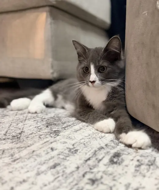 Charles