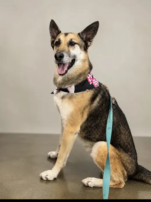 Axel