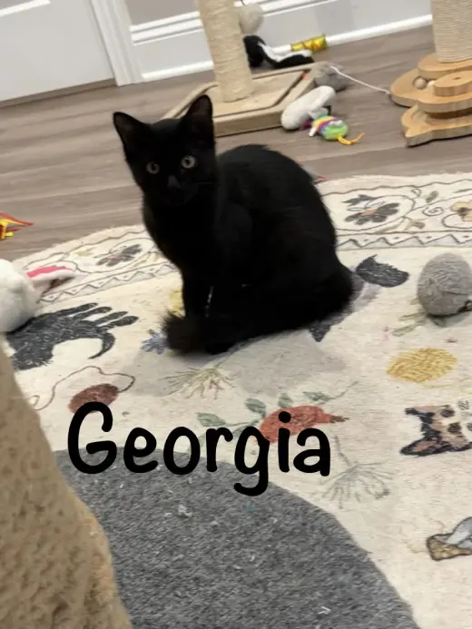Georgia