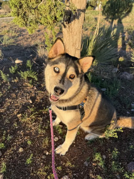 Mishka