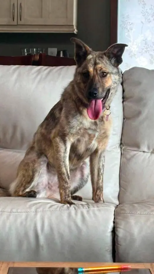 Greta