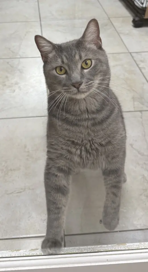 Terrance
