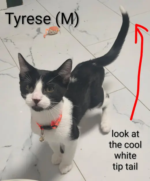 Tyrese