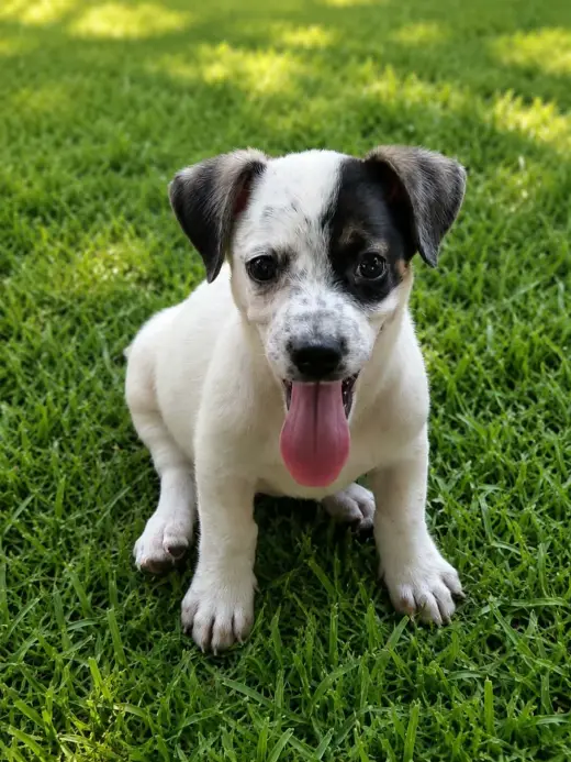 Venus - Beautiful Girl!
