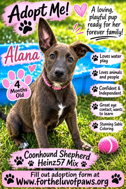 Alana