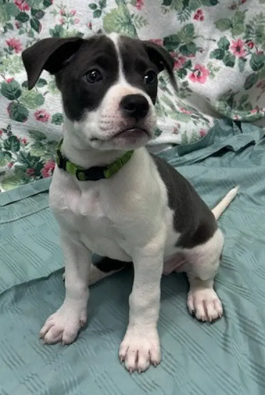 261317 Mymom