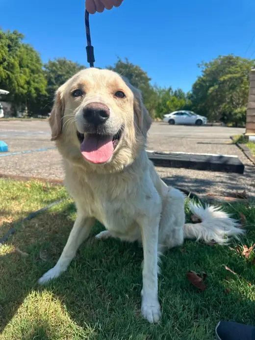 Kaya