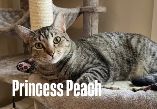 Princess Peach