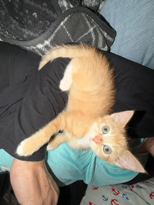 Bobby- not at the shelter (Jen)