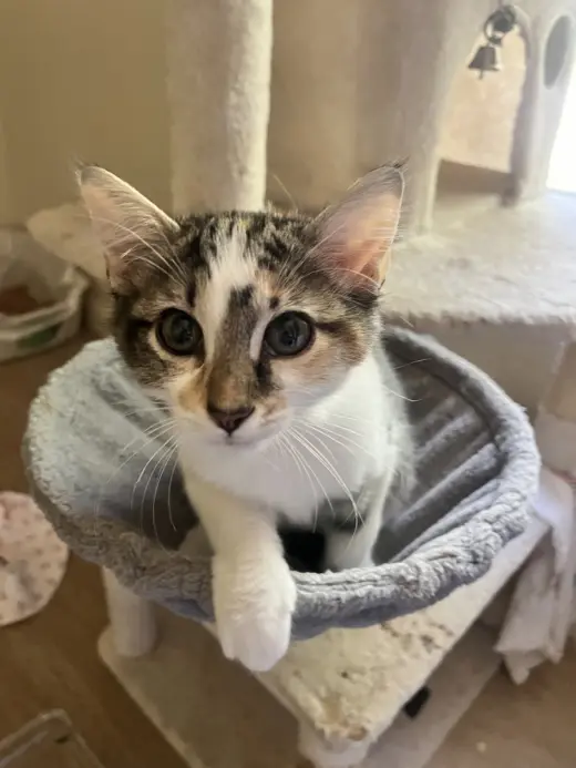 Maggie Mae