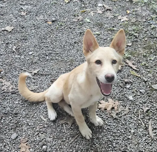 Stevie Nicks - In Foster, Call to meet!